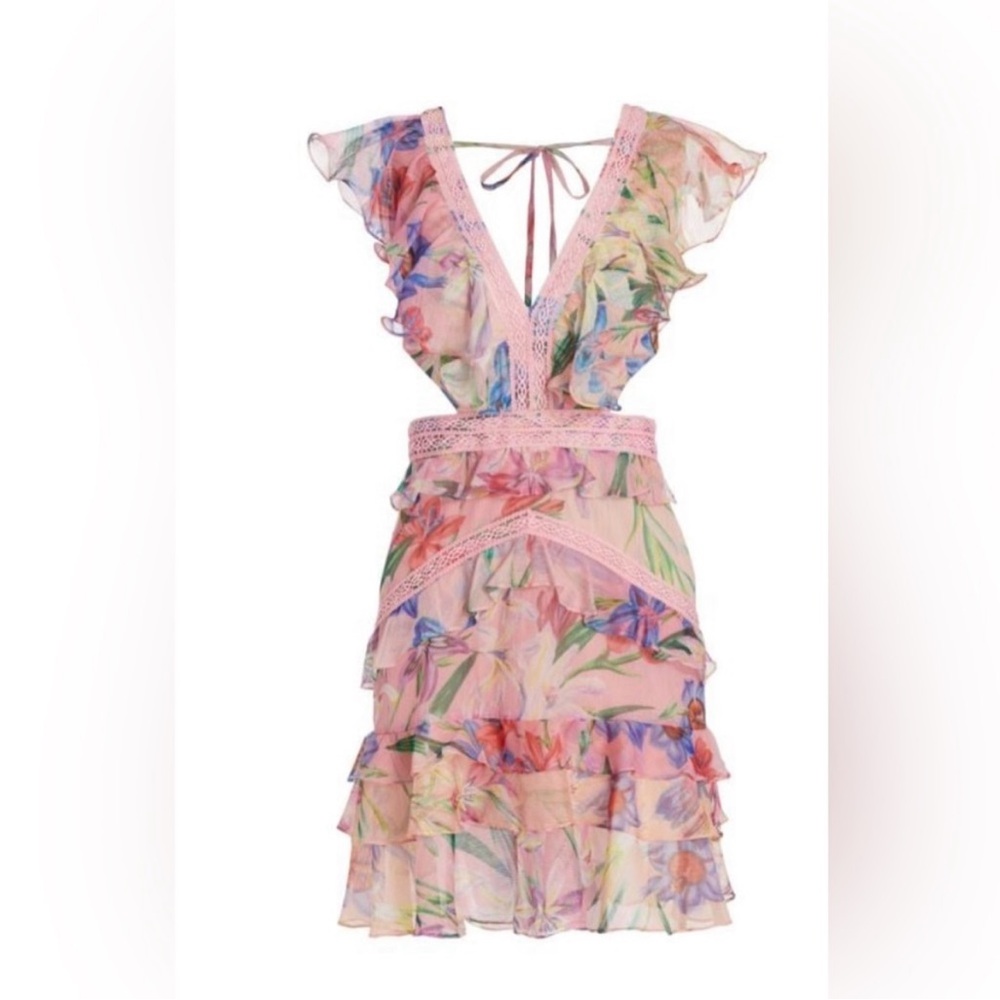 PatBo dress💞